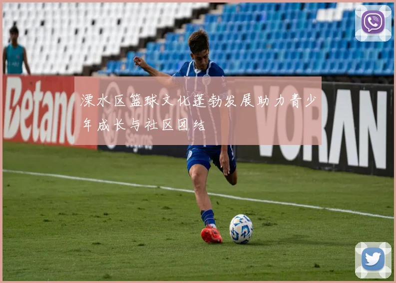 溧水区篮球文化蓬勃发展助力青少年成长与社区团结