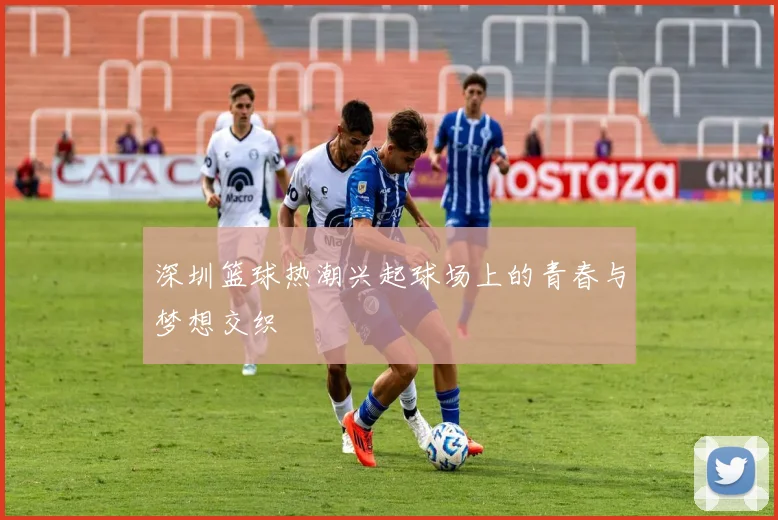 深圳篮球热潮兴起球场上的青春与梦想交织