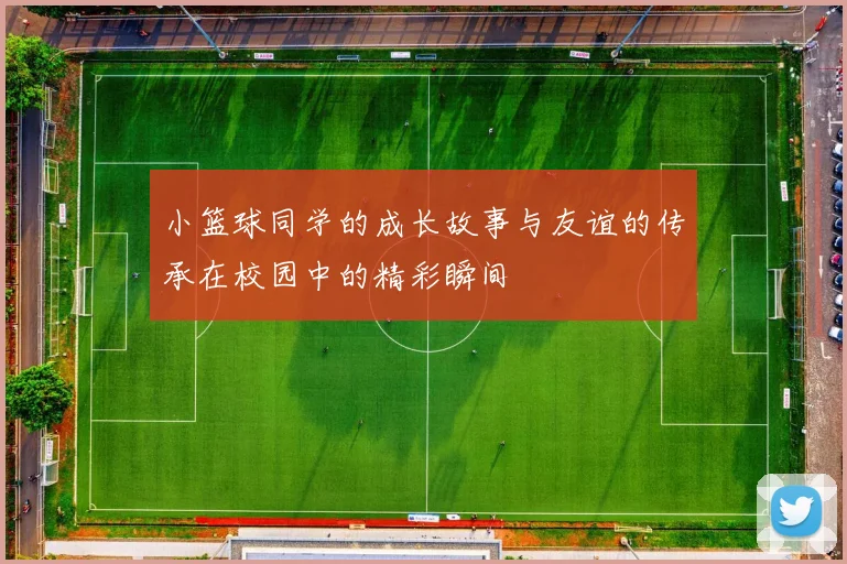 小篮球同学的成长故事与友谊的传承在校园中的精彩瞬间