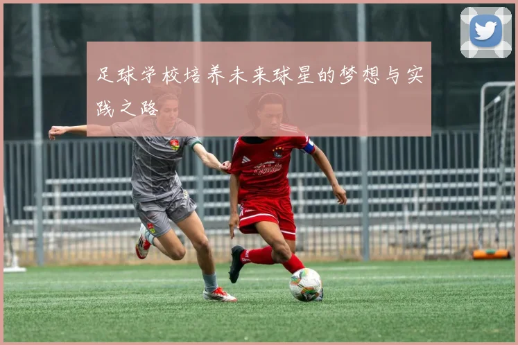 足球学校培养未来球星的梦想与实践之路