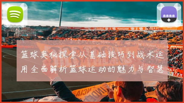 篮球奥秘探索从基础技巧到战术运用全面解析篮球运动的魅力与智慧