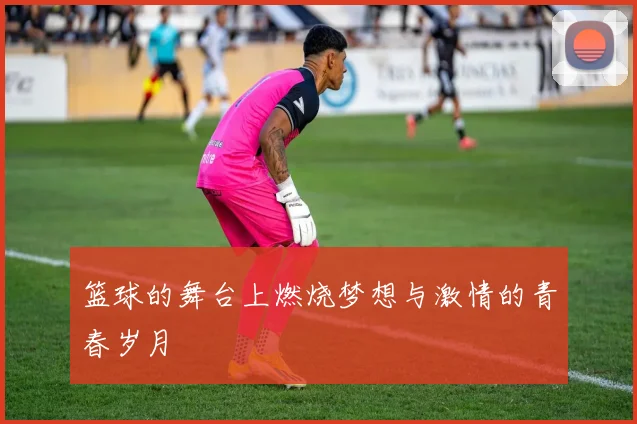 篮球的舞台上燃烧梦想与激情的青春岁月